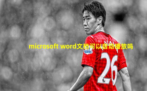 microsoft word文档可以自动播放吗